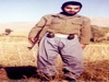 shahid mansour_07_resize.jpg